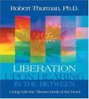 Liberation upon Hearing in the Between, CD <br>  By: Robert Thurman