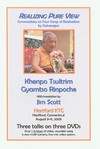 Realizing Pure View: Commentary on Four Songs of Realization by Gotsangpa, DVD <br>  By: Khenpo Tsultrim Gyamtso Rinpoche