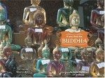 If You Find the Buddha, Jesse Kalisher