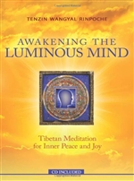 Awakening The Luminous Mind