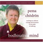 Bodhisattva Mind, CDs<br> By: Pema Chodron