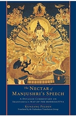 Nectar of Manjushri's Speech: A Detailed Commentary on Shantideva's Way of the Bodhisattva (Paperback)