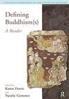 Defining Buddhism(s) (Critical Categories in the Study of Religion)