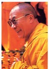 Dalai Lama, Postcard, 4" x 6", DL1