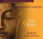 Abiding in Mindfulness Vol. 1: The Body (Audio CD) <br> By: Goldstein, Joseph