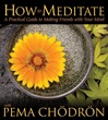 How to Meditate:  A Practical Guide to Making Friends with Your Mind With Pema Chodron (Audio CD) <br> By: Pema Chodron