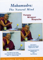 Mahamudra: The Natural Mind, DVD <br> By: Mingyur Rinpoche