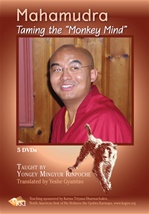Mahamudra: Taming the Monkey Mind, Mingyur Rinpoche