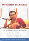 Wisdom of Emotions, DVD <Br> By: Dzogchen Ponlop Rinpoche