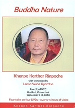Buddha Nature, DVD <br> By: Khenpo Karthar Rinpoche