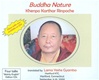 Buddha Nature, CD <br> By: Khenpo Karthar Rinpoche