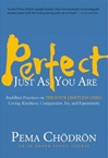 Perfect Just As You Are: Buddhist Practices on the Four Limitless Ones—Loving-Kindness, Compassion, Joy, and Equanimity