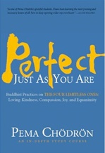 Perfect Just As You Are: Buddhist Practices on the Four Limitless Ones—Loving-Kindness, Compassion, Joy, and Equanimity