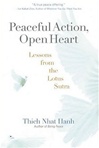 Peaceful Action, Open Heart