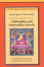 Opening the Clear Vision of the Vaibhashika