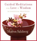 Guided Meditations for Love and Wisdom