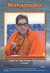 Mahamudra: Mind at Ease (DVD) <br> By: Traleg Rinpoche