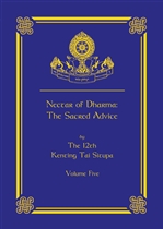 Nectar of Dharma: The Sacred Advice, Volume Five <br> Tai Situ Rinpoche