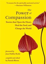 Power of Compassion: Stories That Open the Heart, Heal the Soul, and Change the World, Pamela Bloom (Editor), Hampton Roads