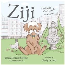 Ziji: The Puppy Who Learned to Meditate