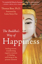 Buddha's Way of Happiness: Healing Sorrow, Transforming Negative Emotion, and Finding Well-Being in the Present Moment