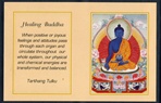 Folding Thangka: Healing Buddha