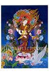Vasudhara