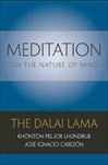 Meditation on the Nature of Mind