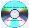 Transforming Disturbing Emotions (0916), Jetsun Khandro Rinpoche