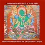 Mindfulness Meditations for Tranquility and Insight with Dr. Miles Neale