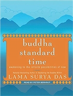 Buddha Standard Time: Awakening to the Infinite Possibilities of Now, MP3 CD, Lama Surya Das, Peter Berkrot