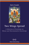 Two Wings Spread: A Selection of Teachings on Means and Discriminative Knowledge <br>By Jigten Sumgon
