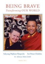 Being Brave: Transforming Our World, DVD