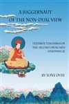 Juggernaut of the Non-Dual View: Ultimate Teachings of the Second Drukchen