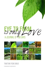 Eye to Form Is Only Love: A Journal of 100 Days ,Traktung Yeshe Dorje