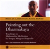Pointing Out the Dharmakaya: Mahamudra Teachings, Pt. 1 (MP3 CD)<br>  By: Mingyur Rinpoche