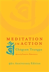 Meditation in Action
