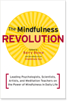 Mindfulness Revolution, Barry Boyce