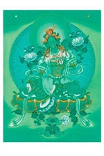 Green Tara, Vision of
