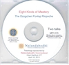 Eight Kinds of Mastery (MP3 CD)<br> By: Ponlop Rinpoche