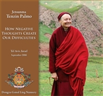 How Negative Thoughts Create Our Difficulties (DVD) Jetsunma Tenzin Palmo
