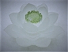Lotus Glass