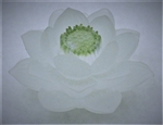 Lotus Glass