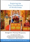 Four Foundations of Mindfulness, DVD