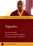 Ngondro: The Foundational Practices, Part1 The Four Thoughts DVD <br> By: Mingyur Rinpoche