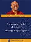 Introduction to Meditation with Yongey Mingyur Rinpoche DVD <br> By: Mingyur Rinpoche