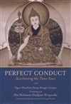 Perfect Conduct