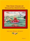 Nine Stages of Shamatha Meditation, Series 3 (3 DVDs) <br> By: Lama Dudjom Dorjee
