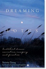 Dreaming in the Lotus: Buddhist Dream Narrative, Imagery & Practice, Wisdom Publications, Serinity Young