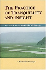 Practice of Tranquility and Insight